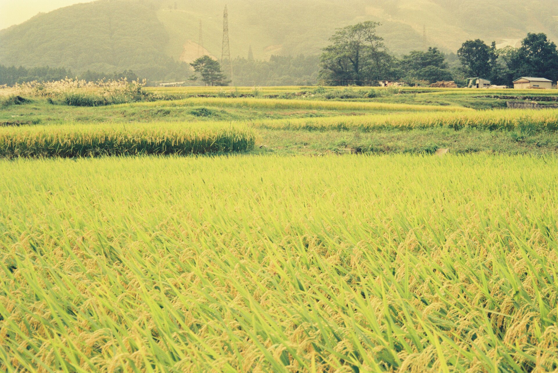 Field agriculture mountainous landforms