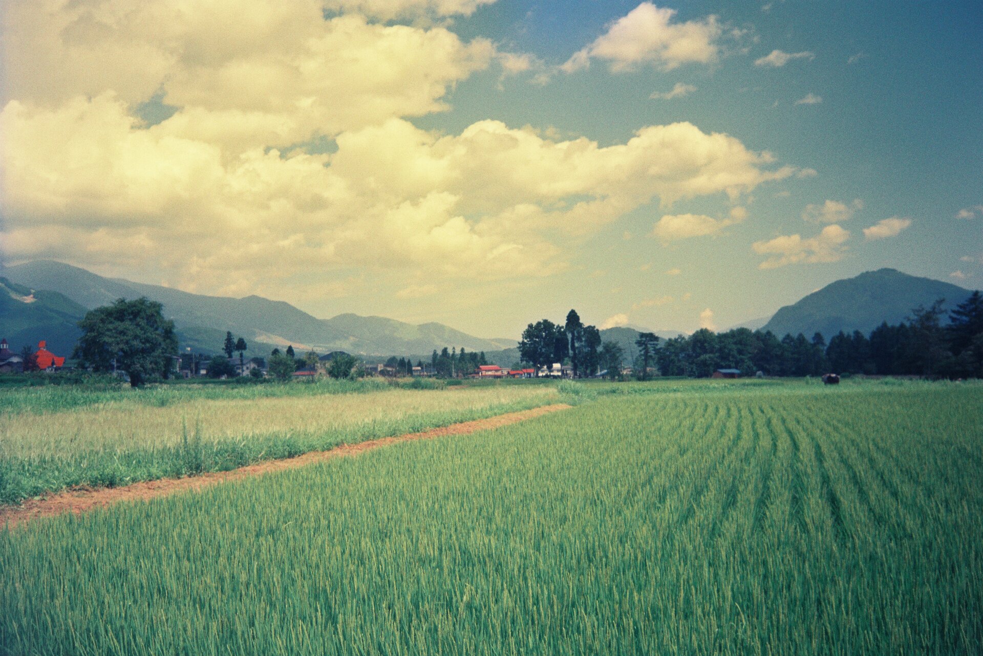Green mountainous landforms grass