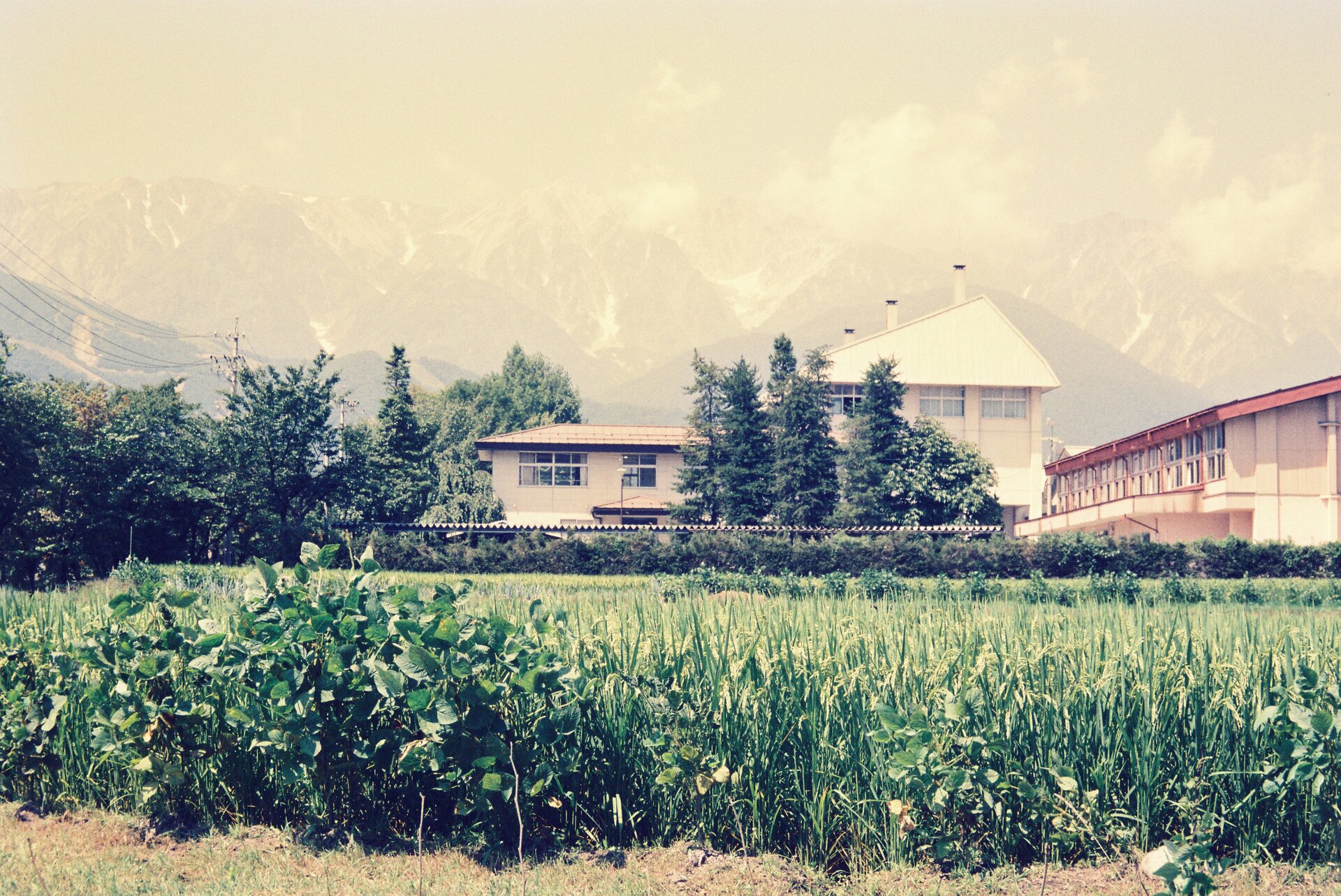 Rural landscape with open land and countryside charm