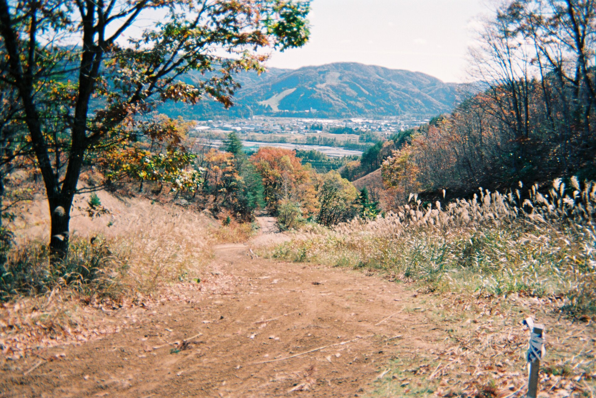 Mountainous terrain with natural leaf formations