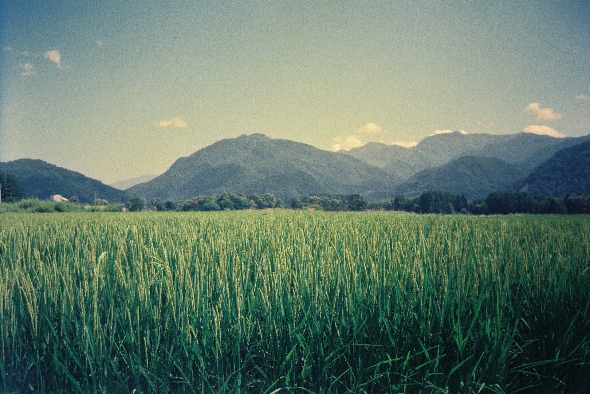 Mountainous landforms with grass-covered peaks