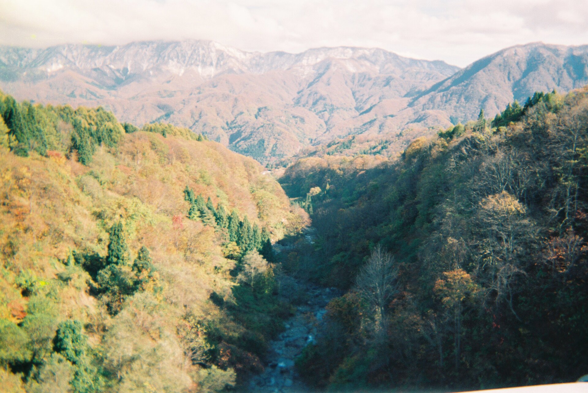 Mountainous landforms mountain leaf
