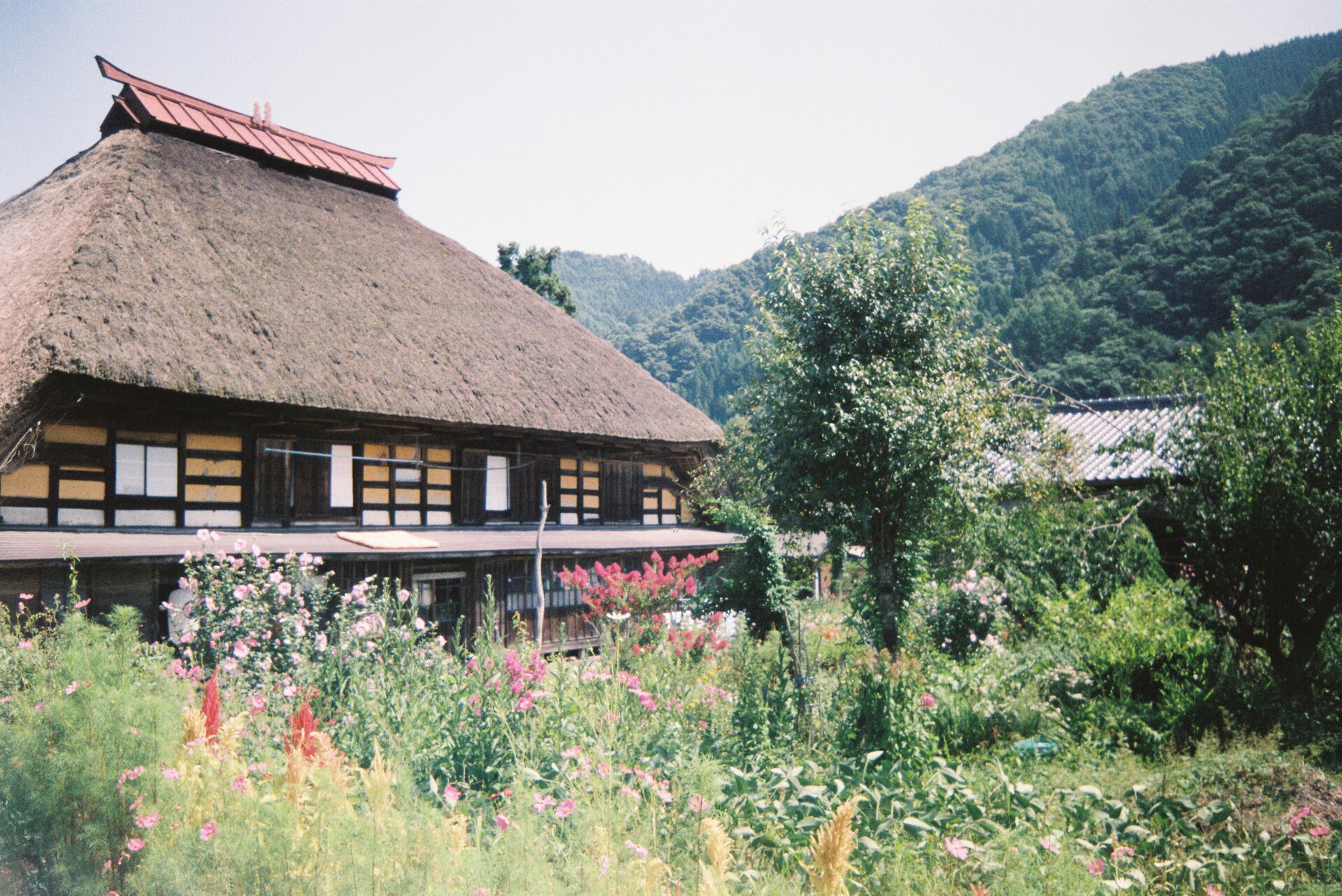 Rural area thatching cottage